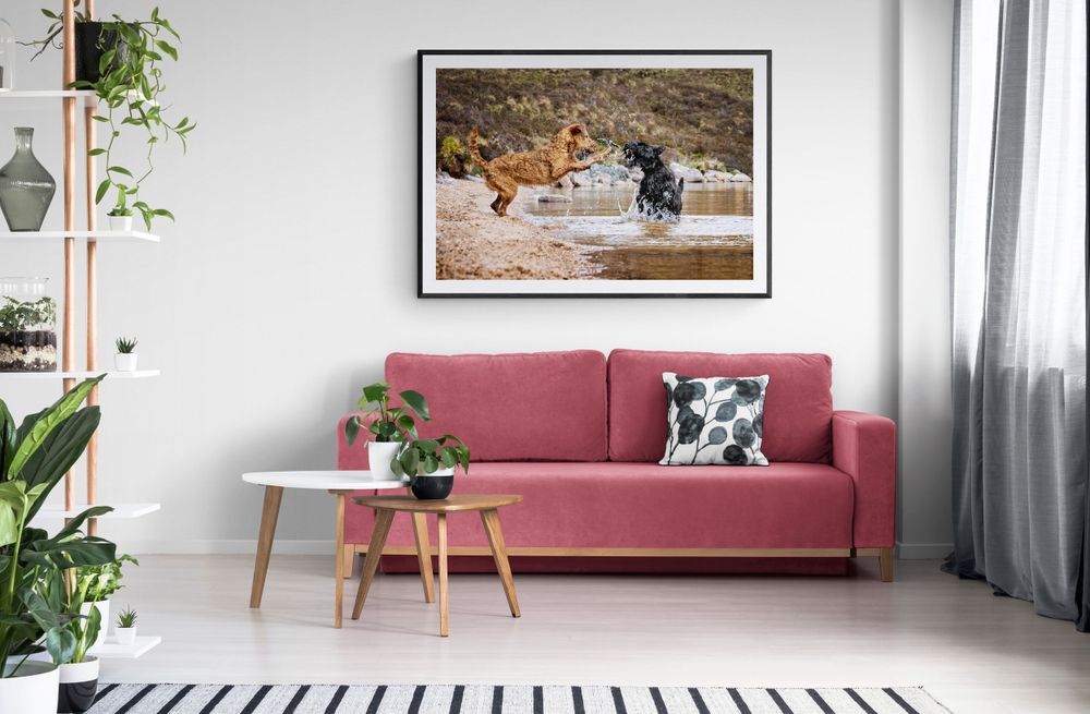 Modern living room interior with pink sofa, framed dog photo, striped rug and decorative plants.
