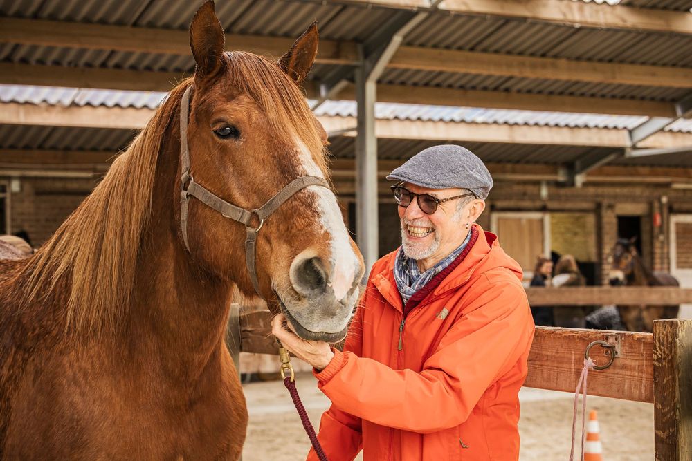 Brown horses being cared for in stable with handlers in orange jackets.