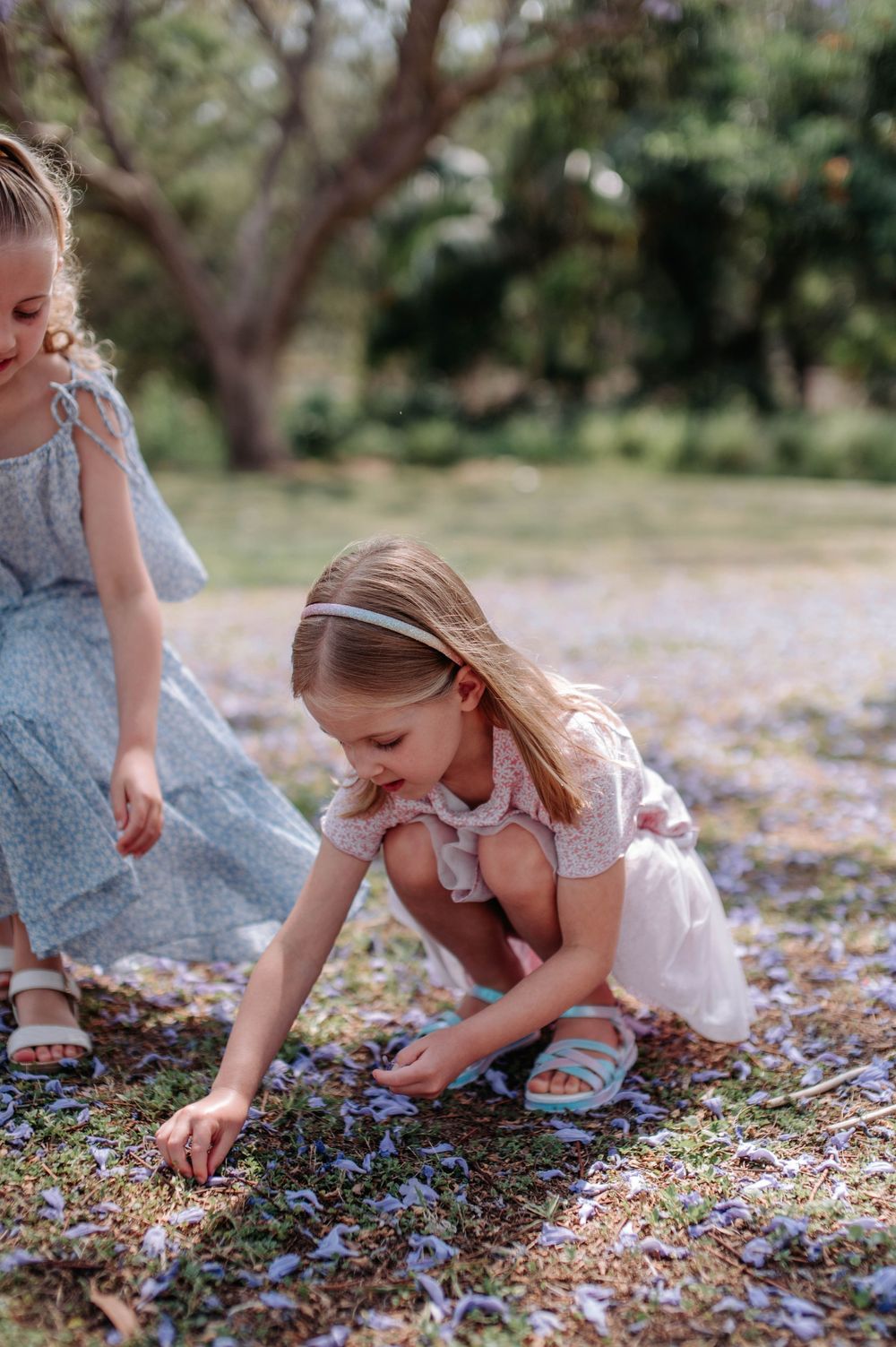 Child exploring and picking purple jacaranda blossoms scattered on the ground in a spring garden.