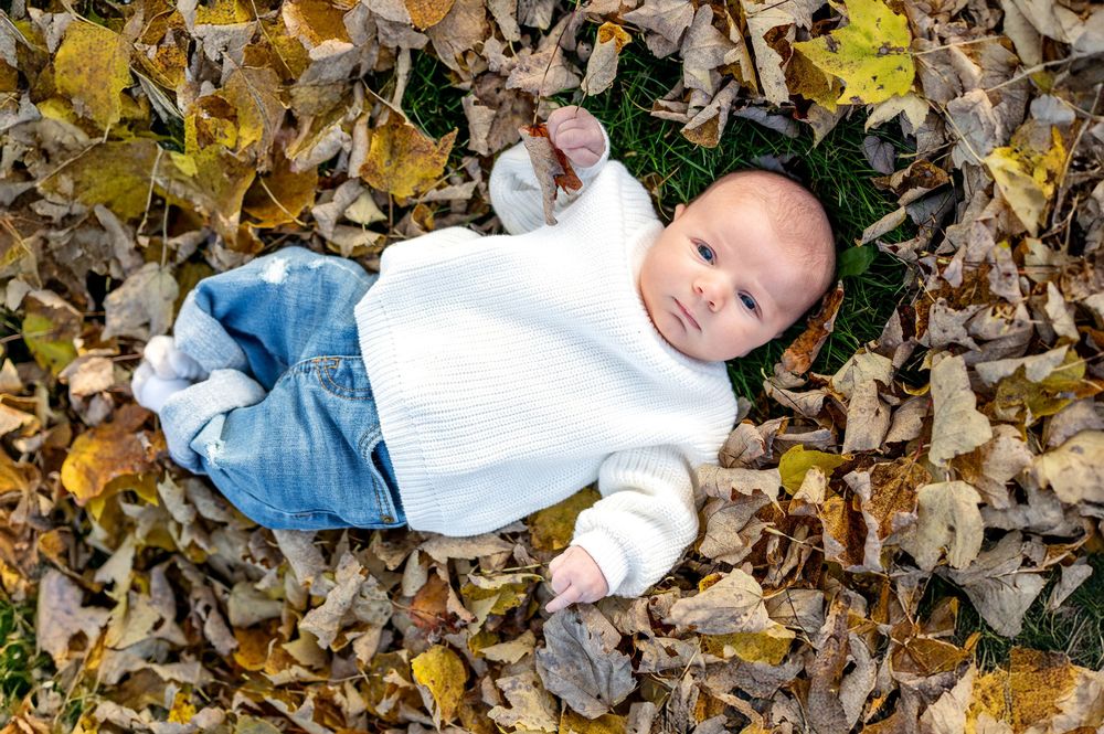 Newborn baby in white sweater and jeans lying in colorful autumn leaves outdoors.