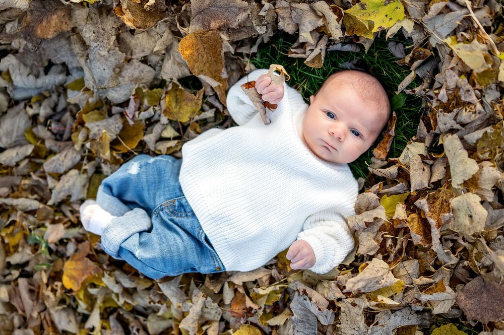 Peaceful newborn baby in white knit sweater resting among golden fall leaves outside.