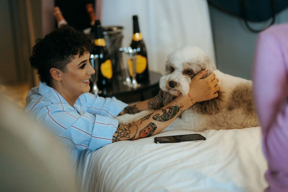 A small fluffy white dog sits comfortably on a couch while being petted by someone in a blue shirt.