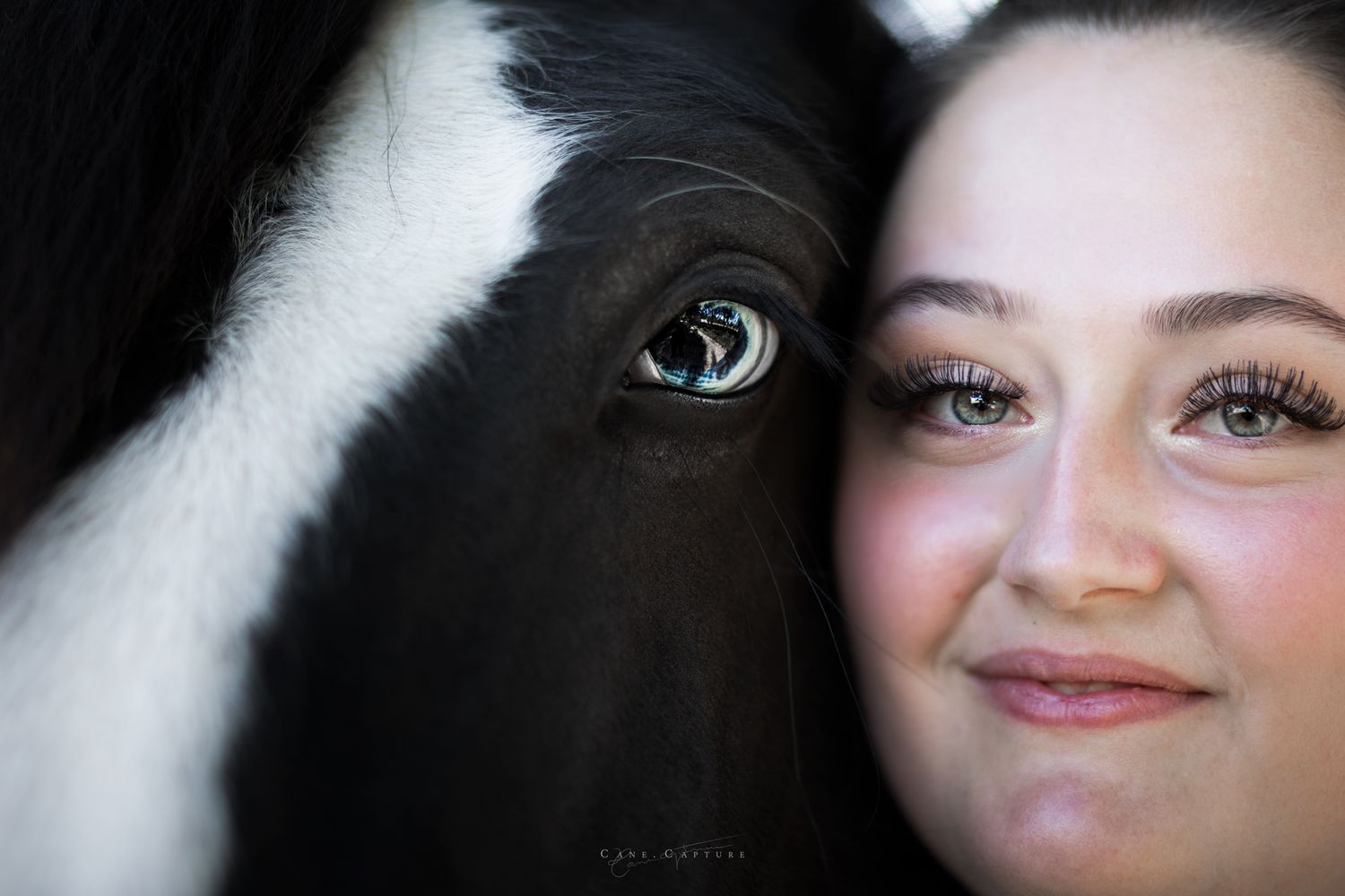 photo-cheval-exterieur-tours-saint-malo-chloe-frigo