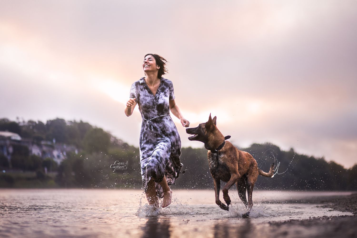 photo-chien-plage-exterieur-tours-saint-malo-chloe-frigo