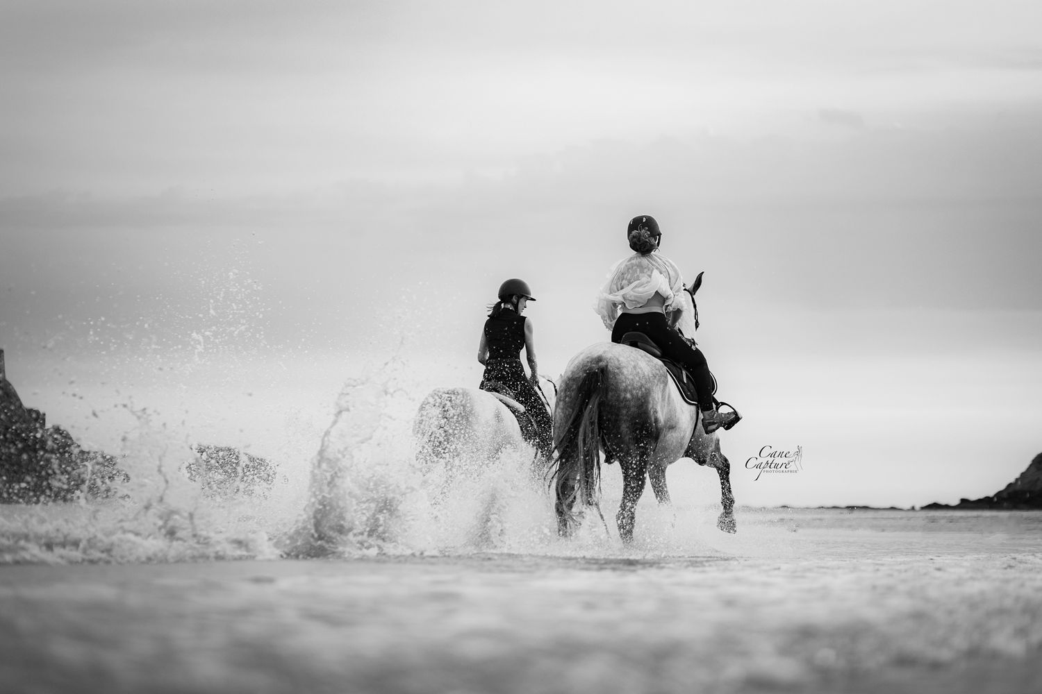 photo-cheval-plage-exterieur-tours-saint-malo-chloe-frigo