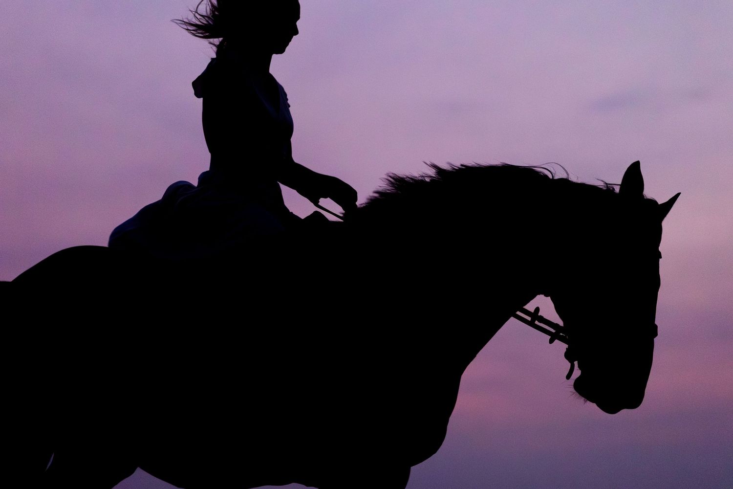 photo-cheval-plage-exterieur-tours-saint-malo-chloe-frigo