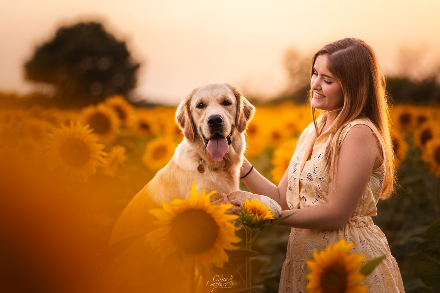 photo-chien-exterieur-tours-saint-malo-chloe-frigo