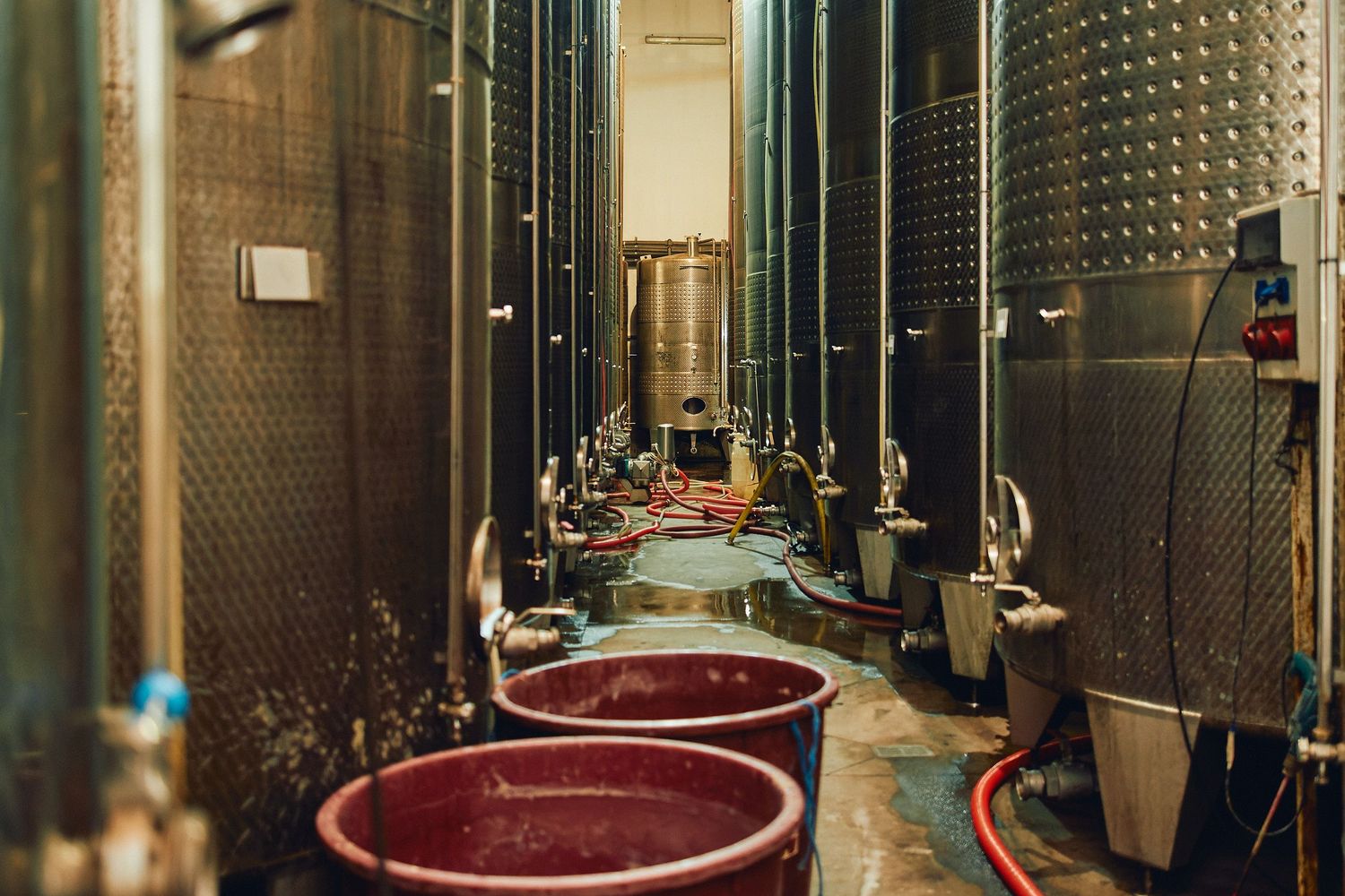Large metal wine fermentation tanks and red plastic containers line a dimly lit winery cellar corridor.