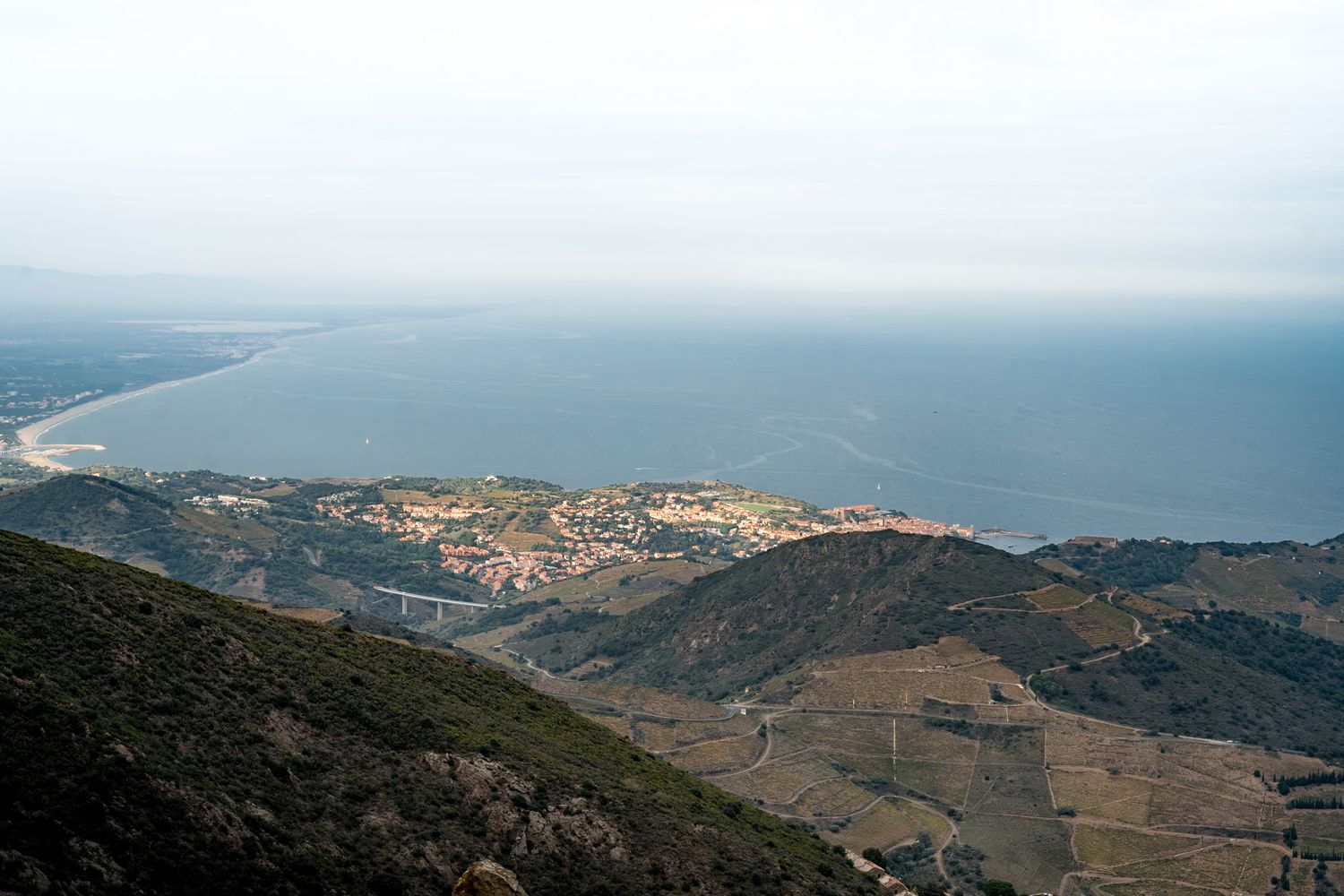 collioure depuis la tour de la madeloc