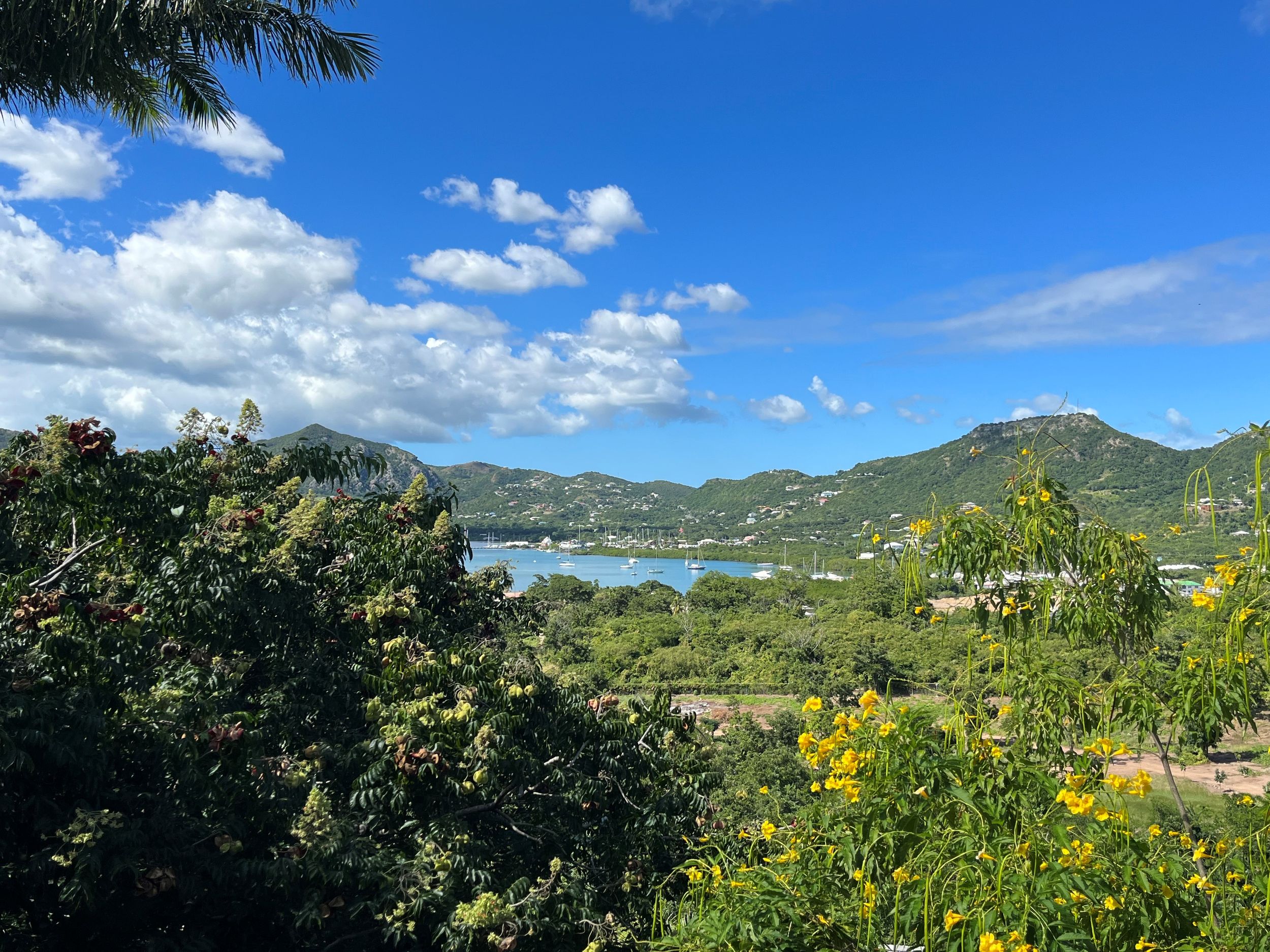 Lush tropical landscape with vibrant green hills, yellow wildflowers, and a turquoise bay under a bright blue sky.