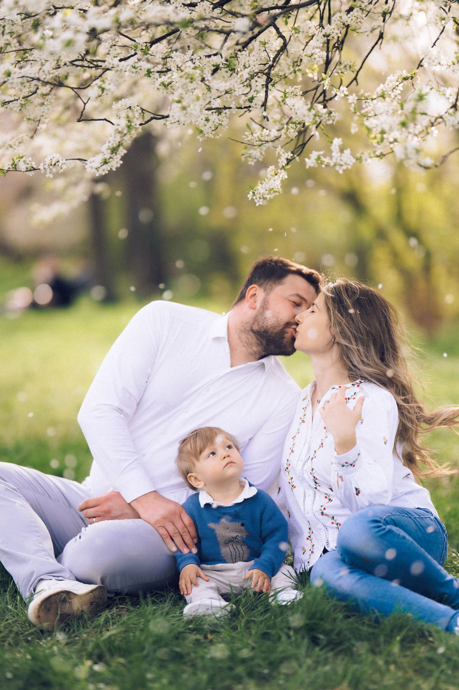 A young family sitting on grass under blooming cherry tree, parents sharing a kiss while toddler looks up at them.