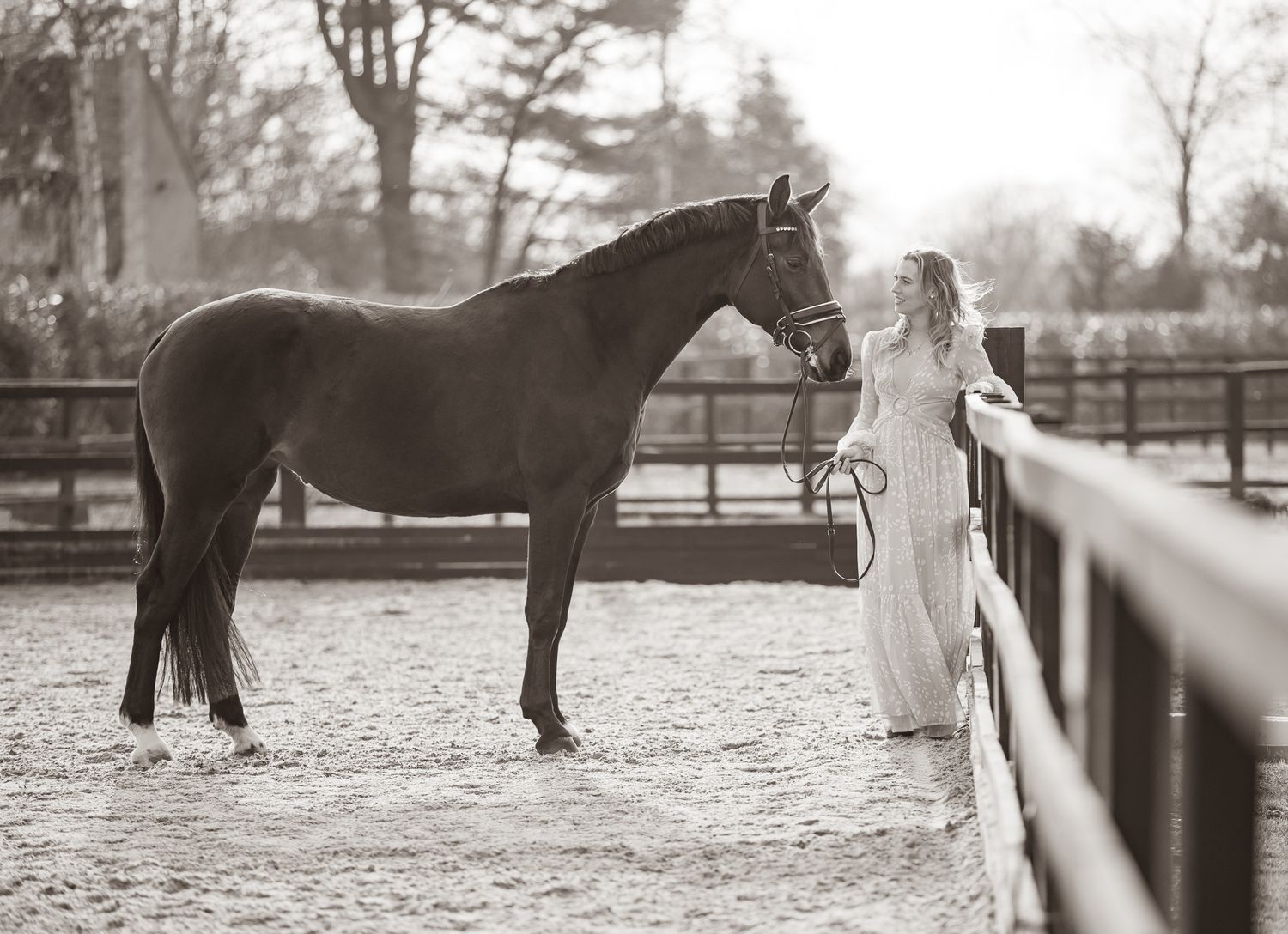 A series of seven photos showing a white horse and rider interacting at a wooden fence in an outdoor setting.