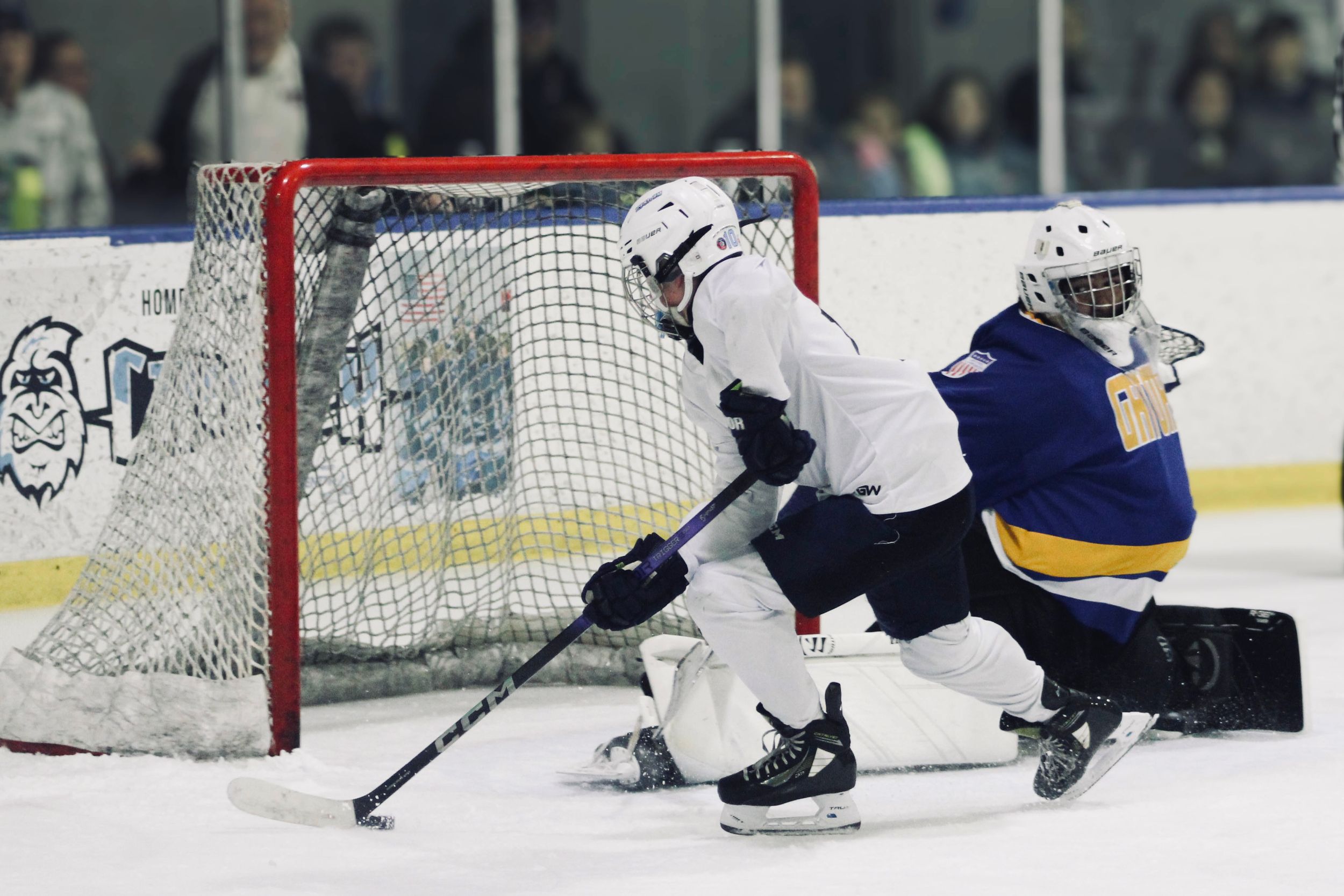 LHSHL Cypress Creek Hockey