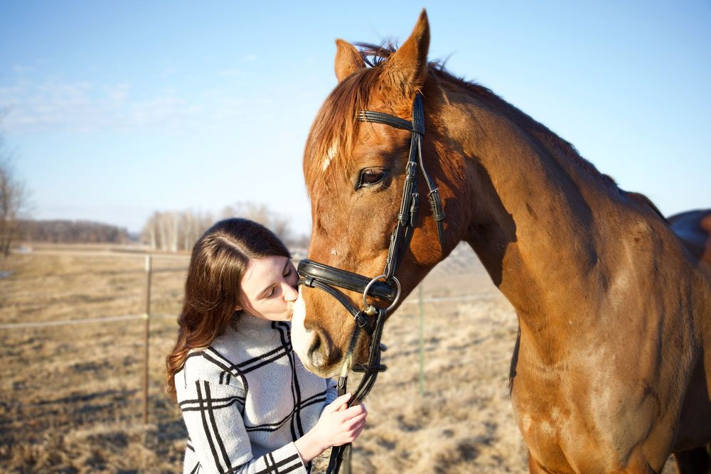 Young woman in plaid shirt tenderly nuzzling a chestnut horse outdoors on a sunny day.