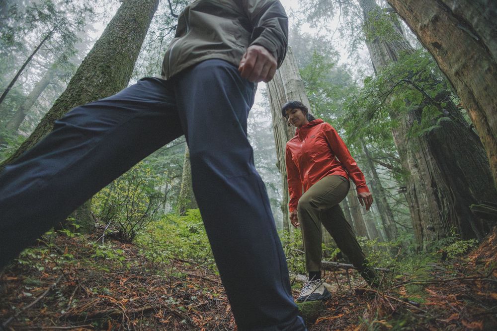 Two hikers trekking through a misty forest trail surrounded by tall trees and lush green undergrowth.