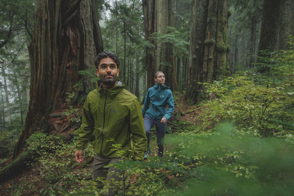 Two hikers wearing rain jackets trek through a misty old-growth forest with towering redwood trees and lush green foliage.