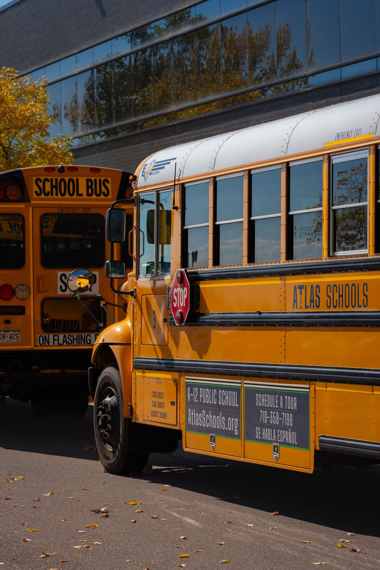 Row of yellow school buses parked in parking lot during fall.