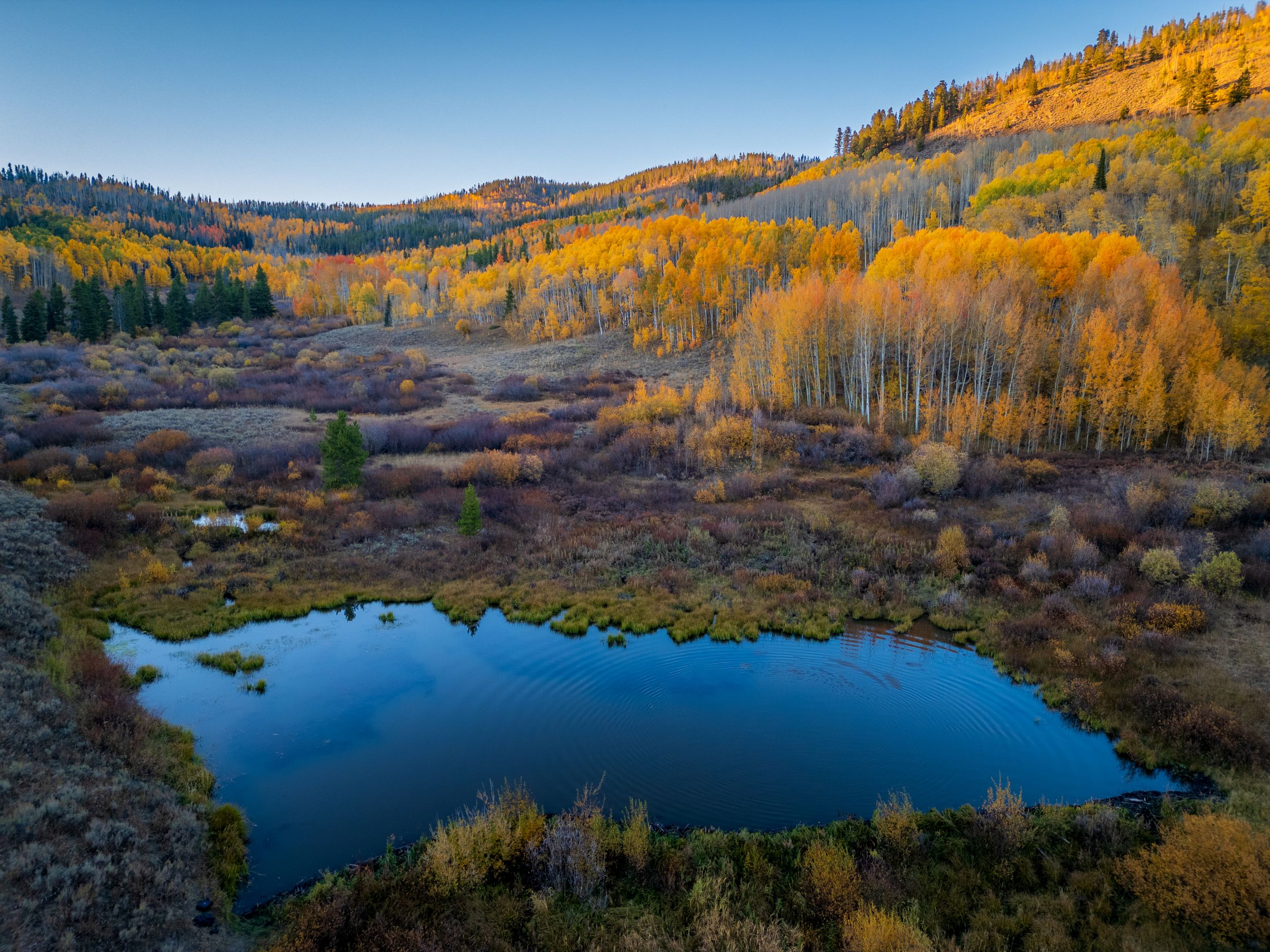 Drone photo of a lake & aspens on Gore Pass in the Fall by Denver Hospitality, Travel & Tourism photographer Captain Colorado Photography.