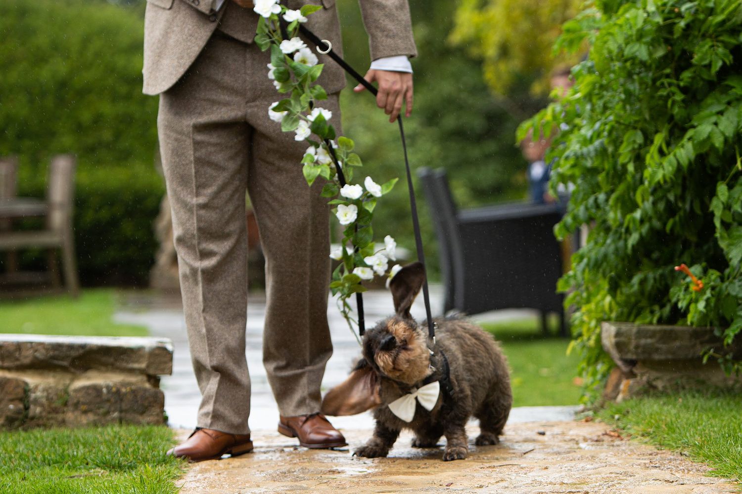 A groom in a tan suit walks a rabbit on a floral leash, the bunny wearing a bow tie on a stone path.