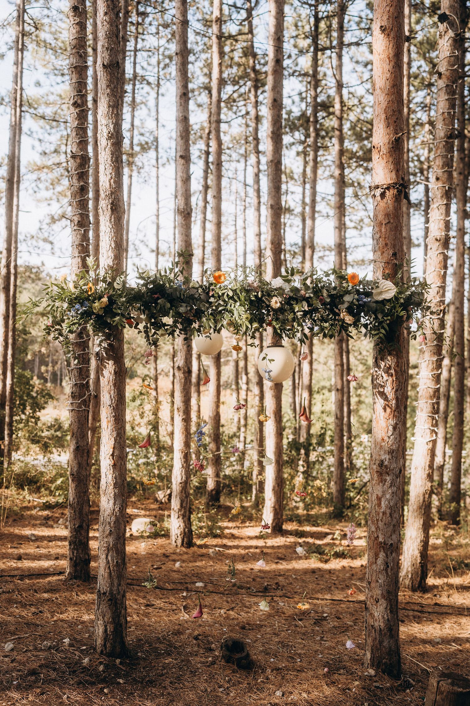 Rustic woodland wedding arch adorned with floral garland and hanging lanterns among tall pine trees.
