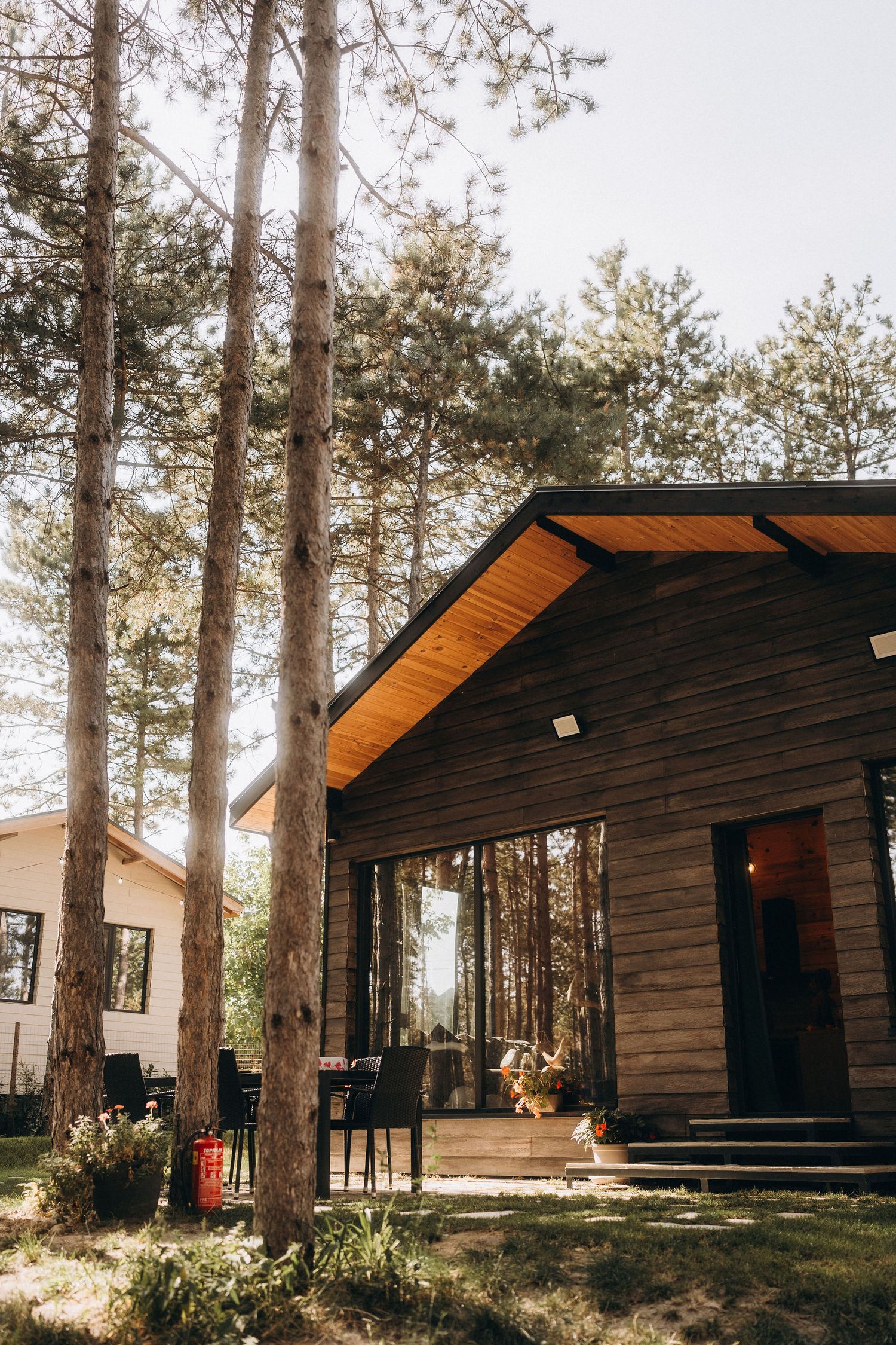 Modern wooden cabin nestled among tall pine trees with a covered porch and large windows in a forest setting.