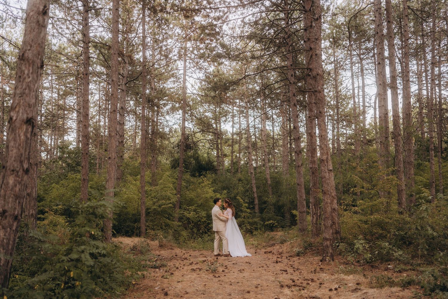 A bride and groom embrace romantically among tall pine trees in a lush green forest setting.