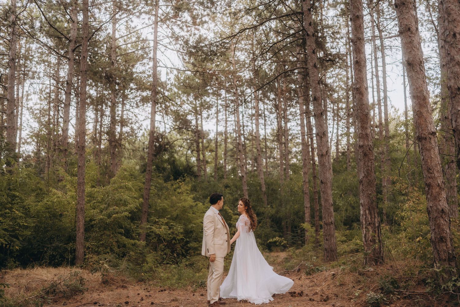 Bride and groom face each other holding hands among tall pine trees in forest wedding.