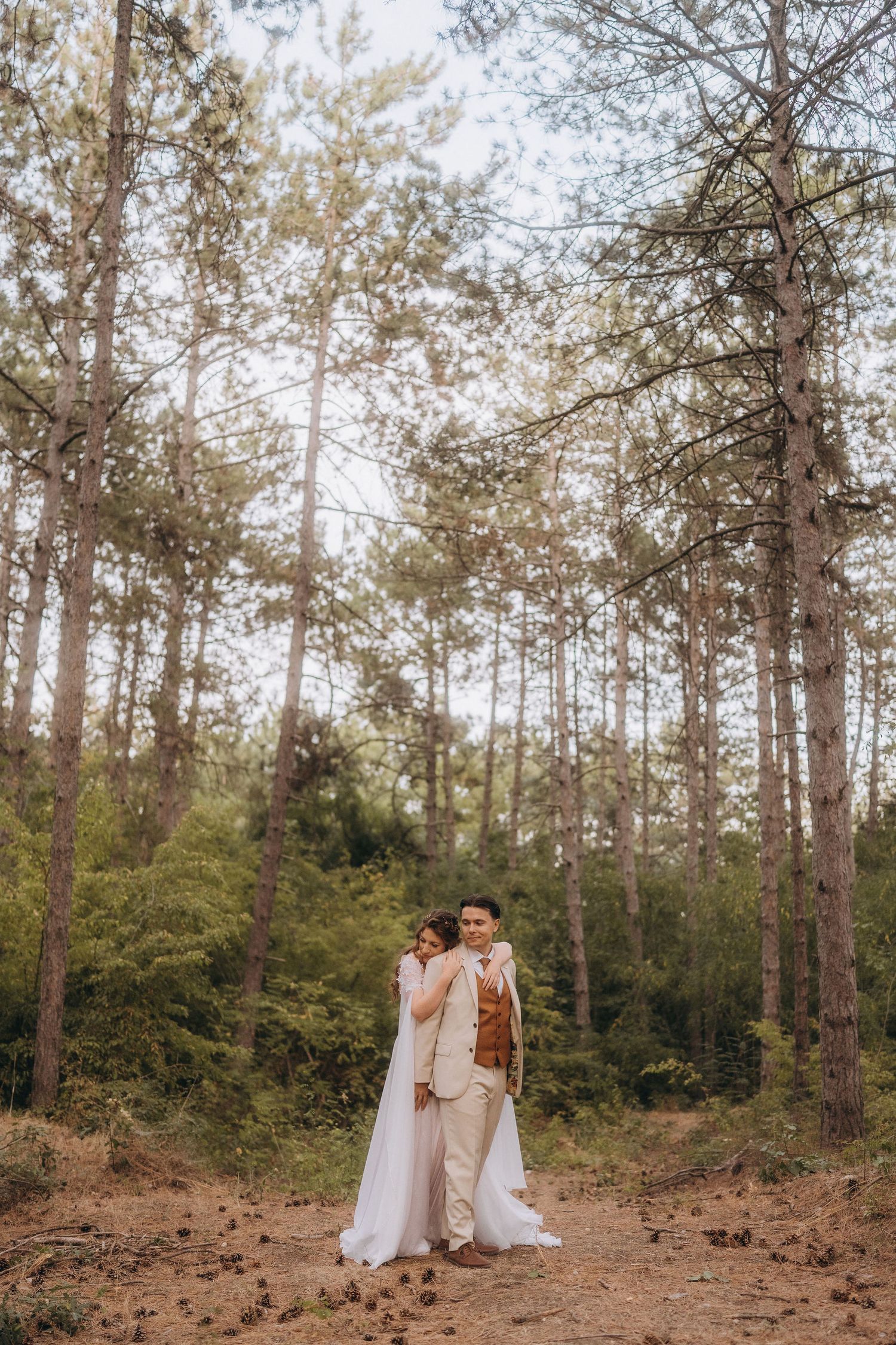 Bride and groom embracing among tall pine trees in a sunlit forest during their wedding day.