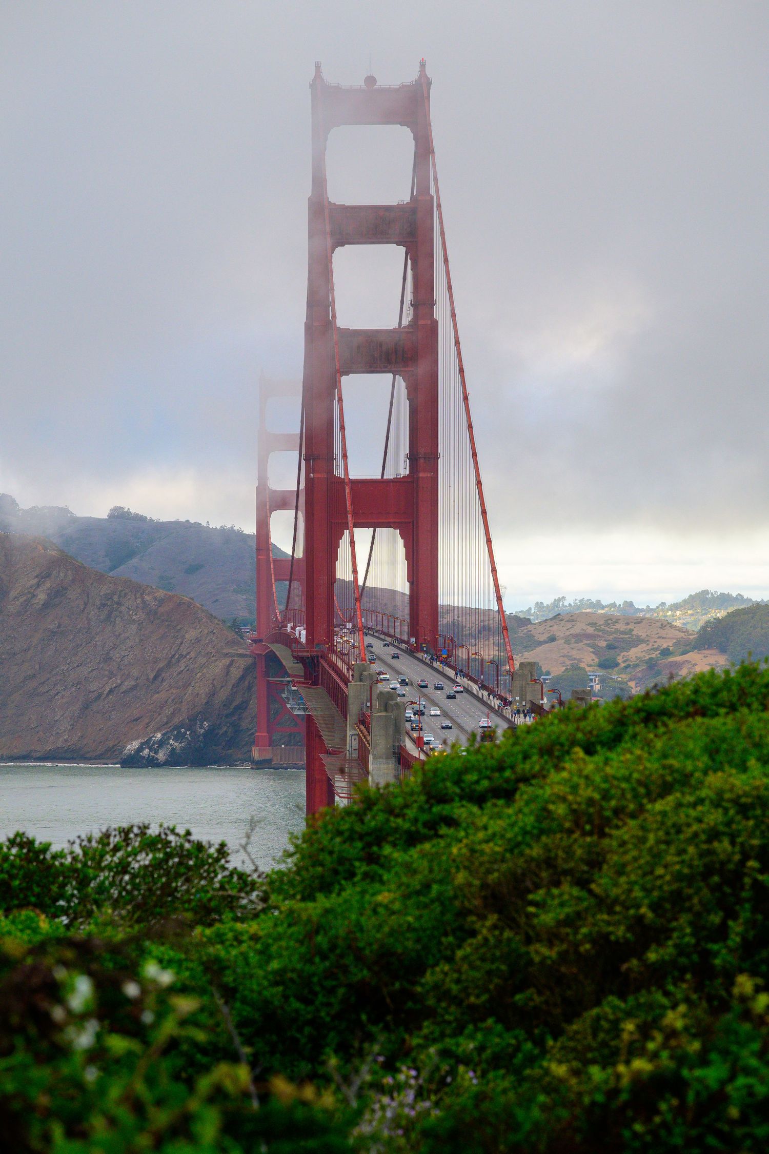 Red Golden Gate Bridge tower rises through fog with traffic below, green shrubs foreground, San Francisco hills behind.