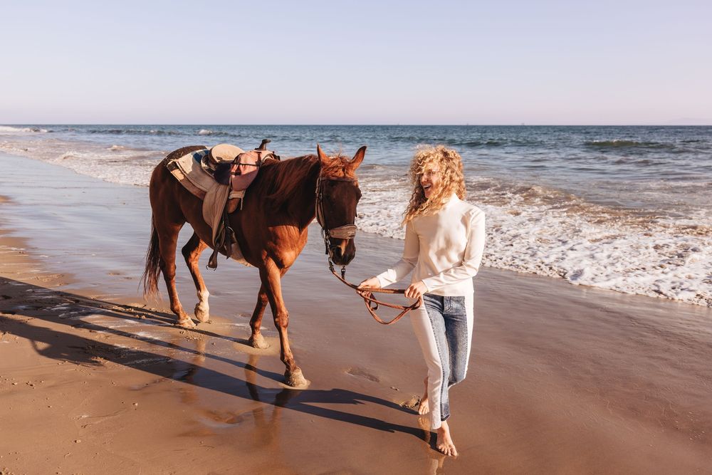 Woman in white sweater and jeans leads a saddled brown horse along a sunny sandy beach with ocean waves.