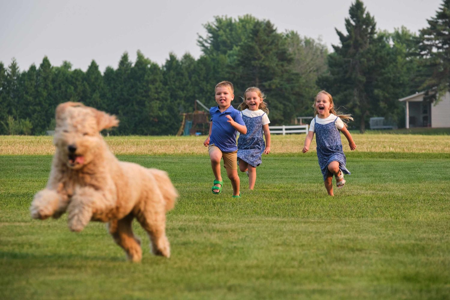 Children run after their pet dog during a family portrait session in Northeast Wisconsin
