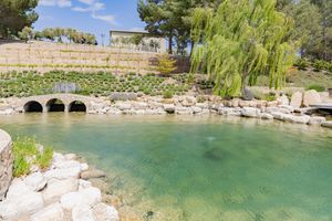 Serene stone bridge over turquoise water pond with weeping willow trees in wedding venue setting.