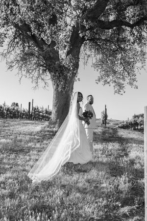 Black and white photo of couple in wedding attire beneath a large tree in vineyard setting.