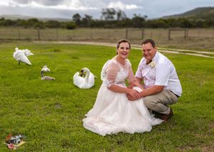 A couple in wedding attire kneels on a grassy hill while white doves fly around them in a scenic outdoor setting.