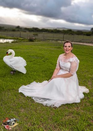 A white wedding dress flows across green grass while a majestic white swan stands nearby under moody storm clouds.