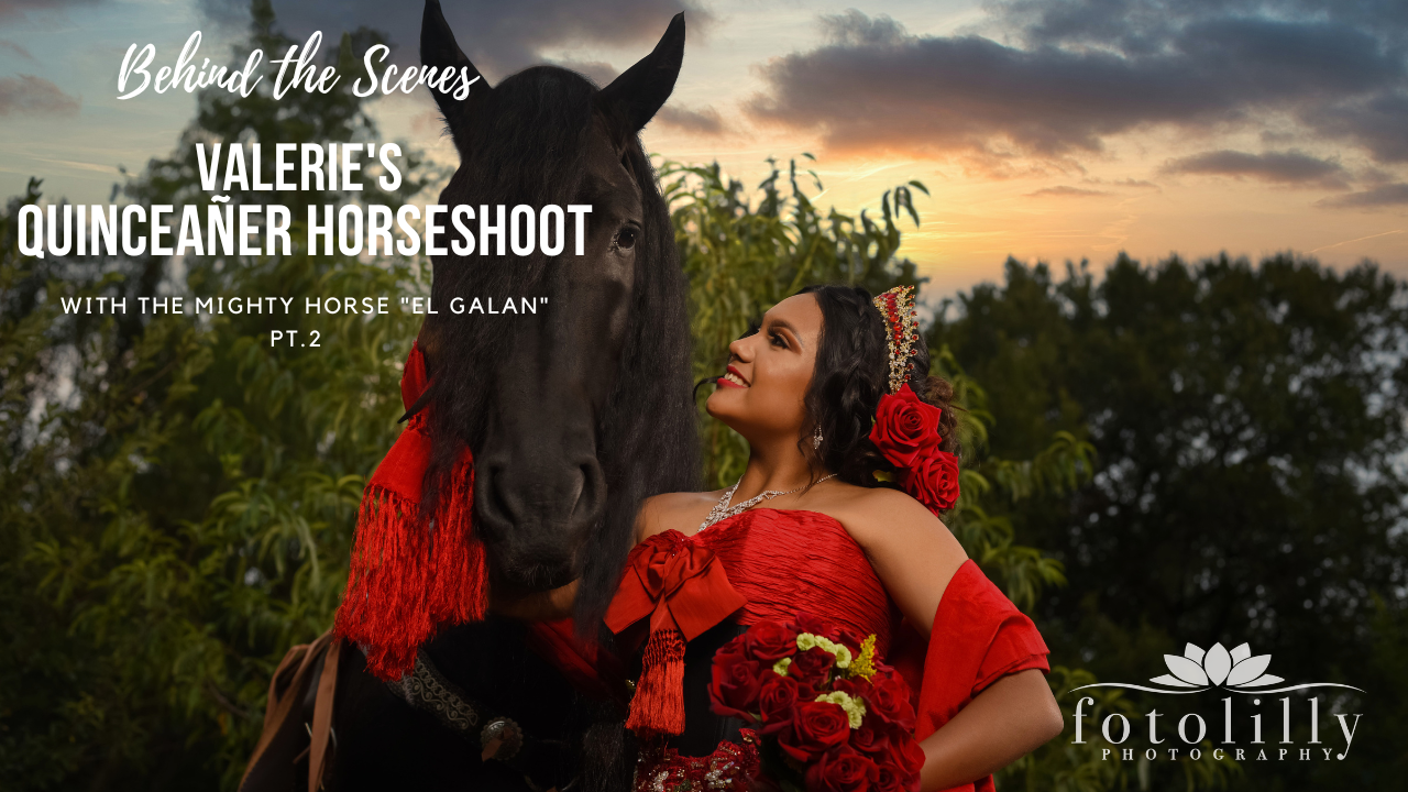 Quinceanero Planning Dallas Forth Worth Quinceanera Photography Quince trends Dallas Quince Photographers fotolilly photography Quince Photo
