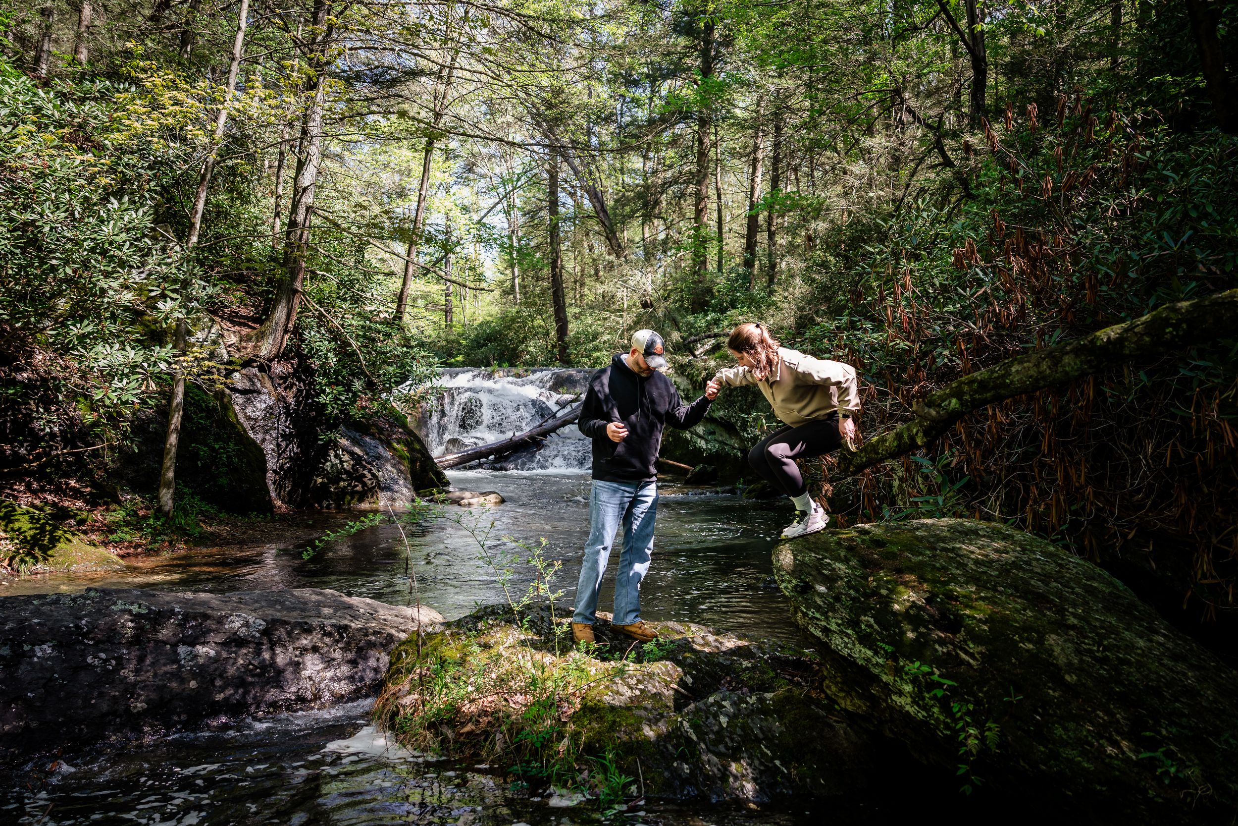 A scenic forest trail winds along a peaceful stream with lush greenery.