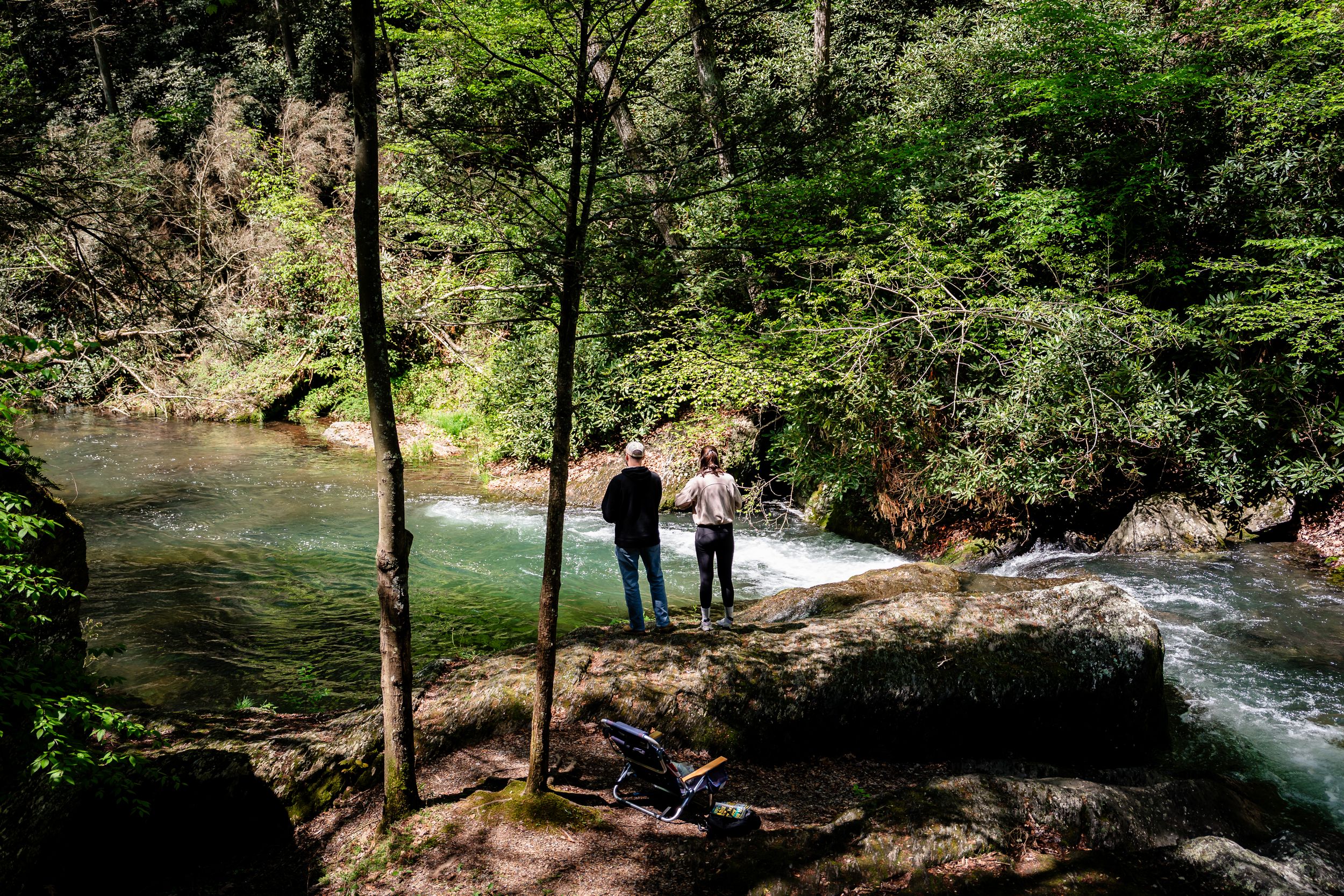 Wide view of a forest trail following alongside a rushing stream.