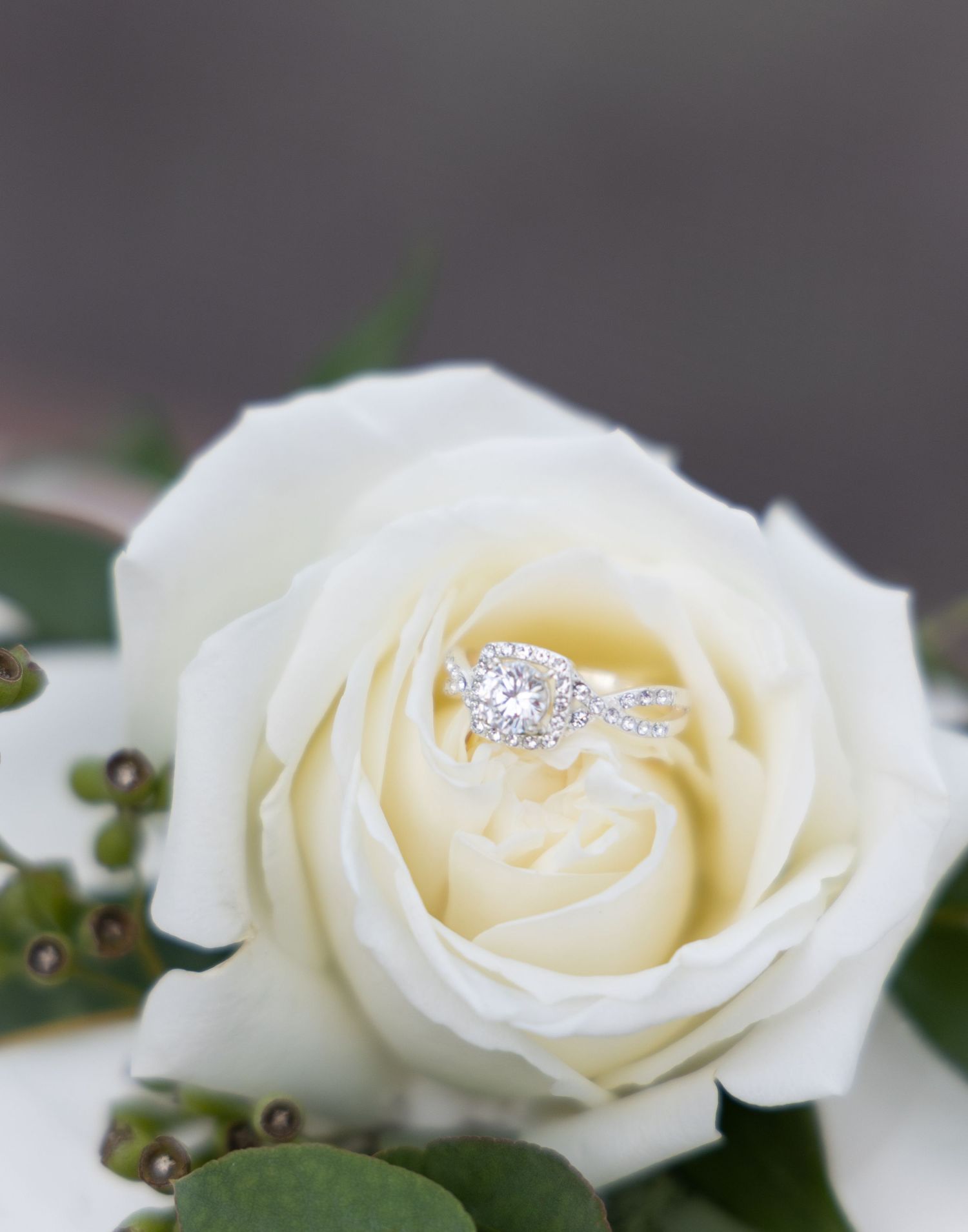 A sparkling diamond engagement ring nestled in the center of a white rose bloom.