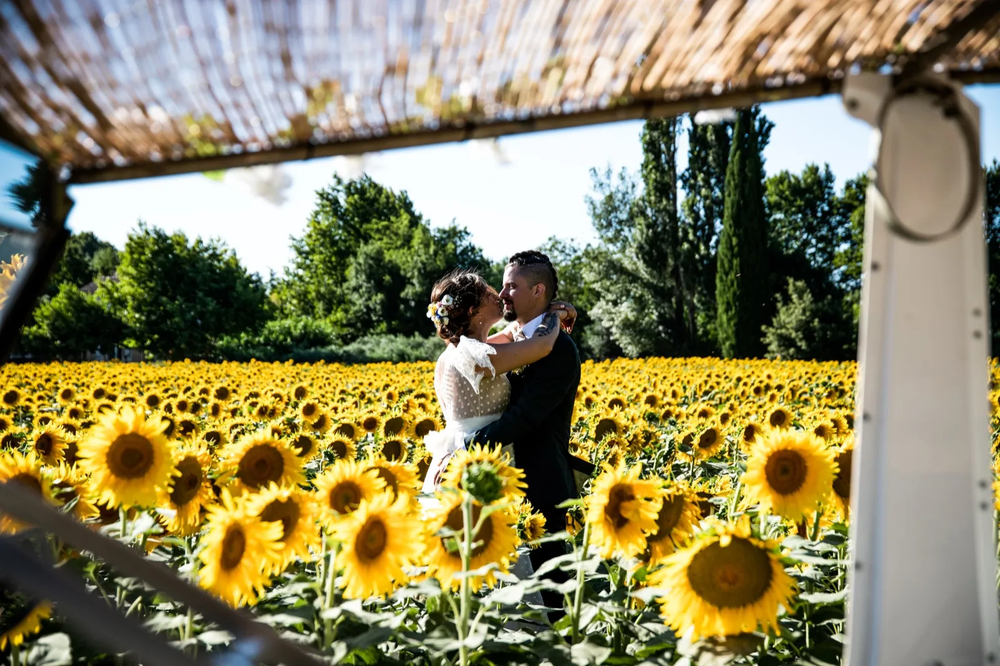 Les mariés s’enlacent sous une pergola au cœur d’un champ de tournesols, décor romantique et champêtre.