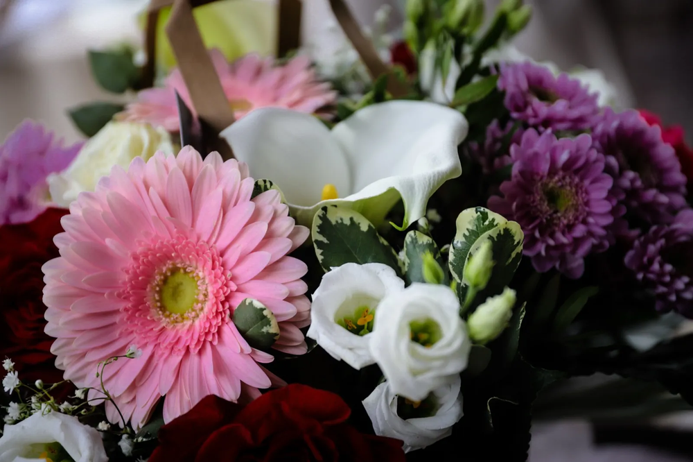 Gros plan sur un bouquet de fleurs aux tons roses, blancs et violets, composition florale fraîche et éclatante.