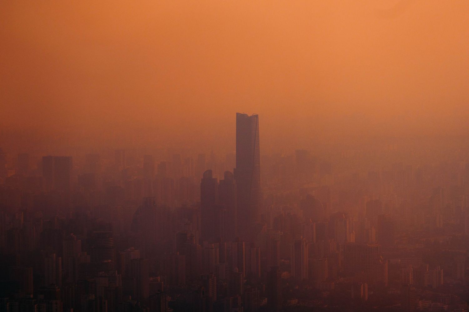 Hazy Shangai cityscape from the Observation Tower