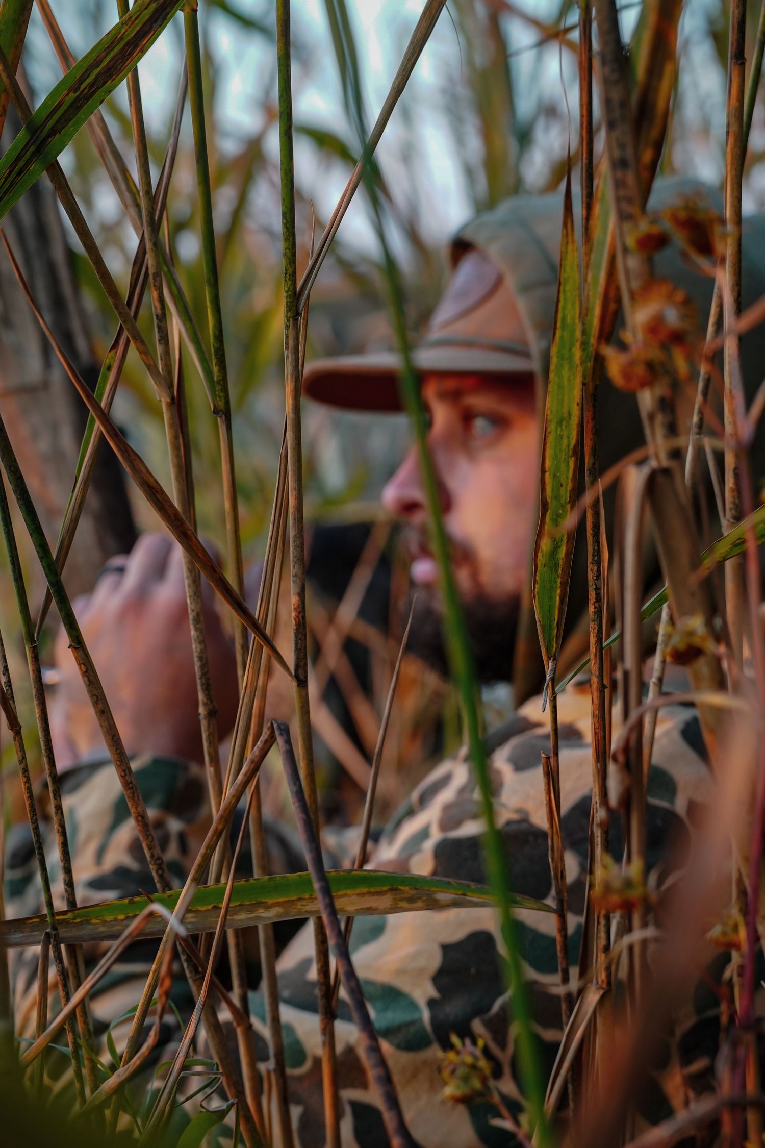 A hunter in camouflage gear peers through tall reeds and grass while duck hunting.