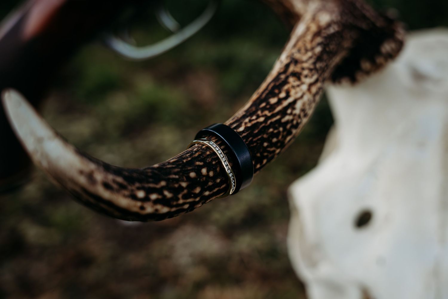 Close up detail shot of a bull's horn with decorative pattern.
