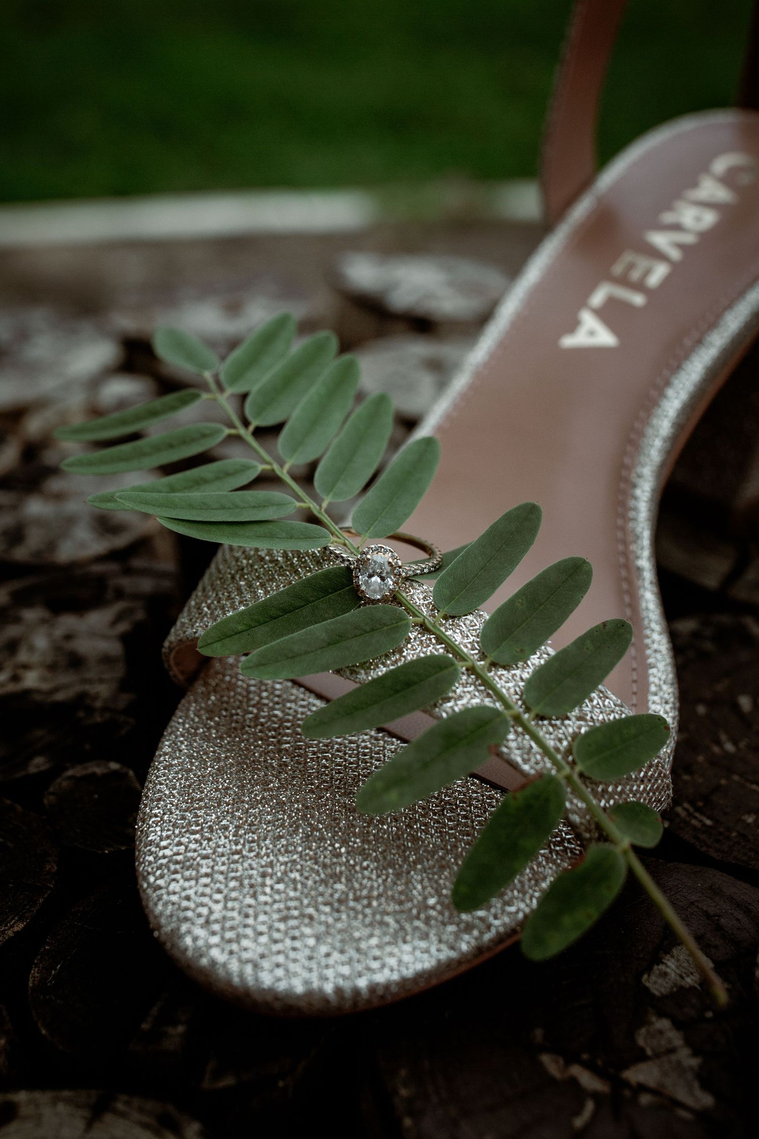Sparkly silver bridal shoe with a decorative green fern leaf placed on top.