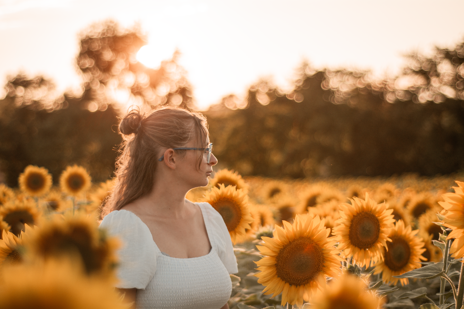 femme portrait champs de tournesols couché de soleil