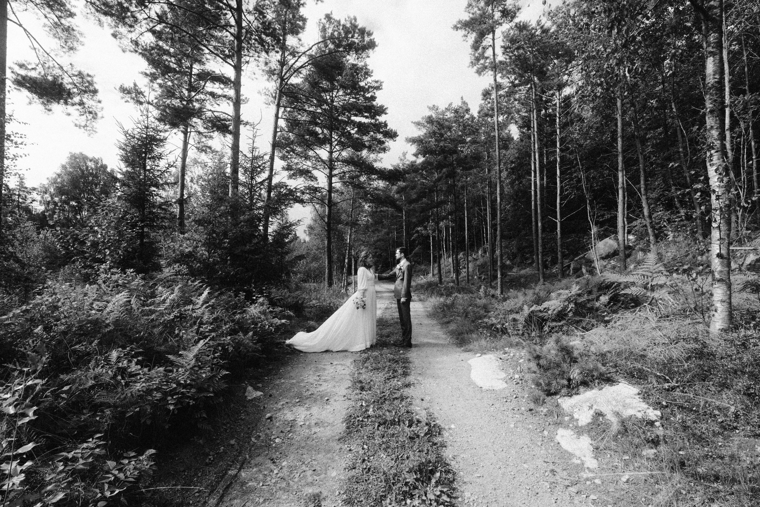 Forest pathway lined with tall pine trees creates natural wedding ceremony backdrop.
