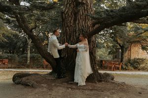 Wedding party poses beneath sprawling ancient tree branches.
