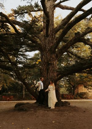 Wedding couple walks under majestic old growth trees in golden afternoon light.