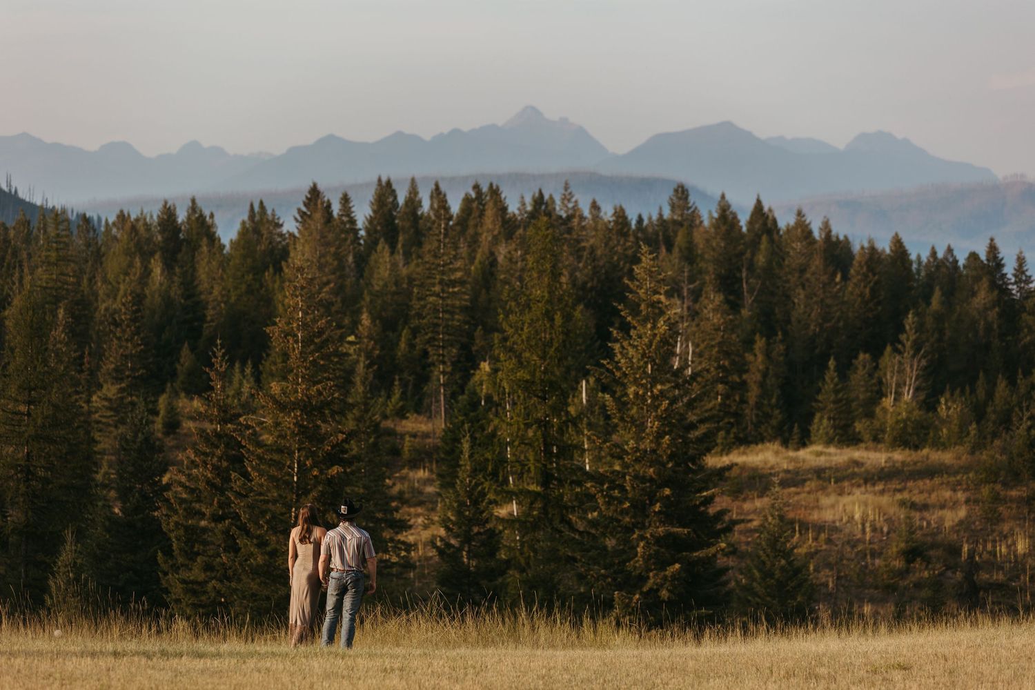 A romantic marriage proposal scene unfolds in a golden field during sunset with silhouettes of two people.
